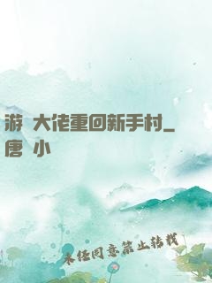 游戲大佬重回新手村