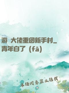 游戲大佬重回新手村