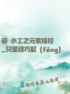 游戲小工之元素操控師
