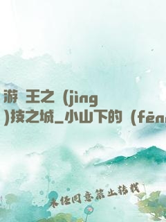 游戲王之競(jìng)技之城
