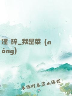 湮華碎