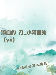 滴血的軍刀