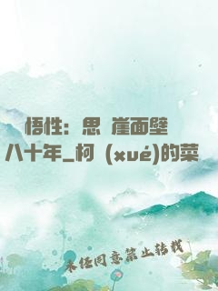 滿級悟性：思過崖面壁八十年