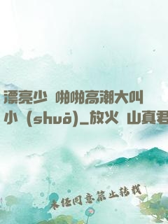 漂亮少婦啪啪高潮大叫小說(shuō)