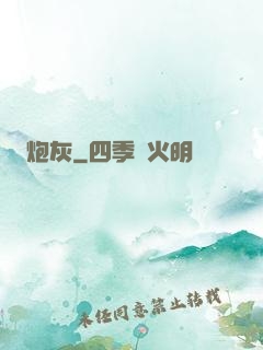 炮灰