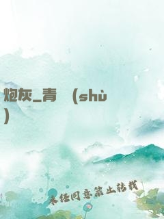 炮灰