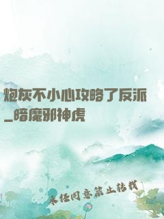 炮灰不小心攻略了反派