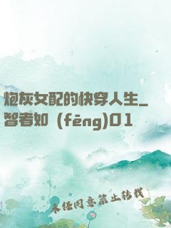 炮灰女配的快穿人生