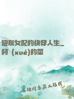 炮灰女配的快穿人生