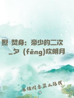 烈愛焚身：帝少的二次歡寵