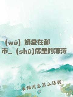 無(wú)敵奶爸在都市