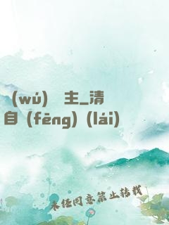 無(wú)盡島主