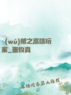 無(wú)限之高端玩家