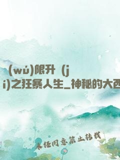 無(wú)限升級(jí)之狂暴人生