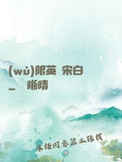 無(wú)限英靈宋白傳