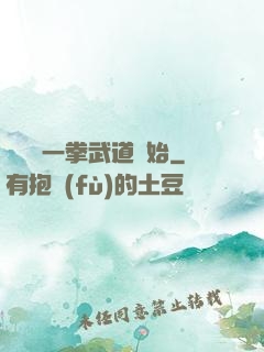 無敵從一拳武道開始