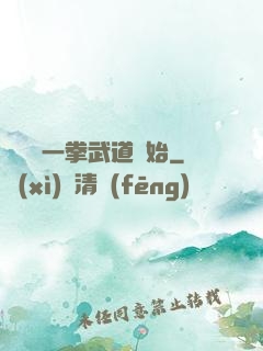 無敵從一拳武道開始
