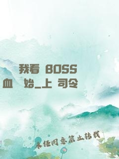 無敵從我看見BOSS血條開始