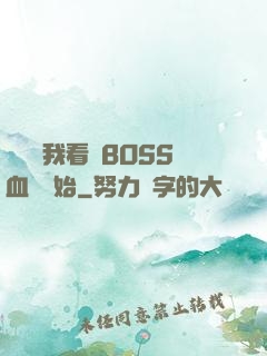 無敵從我看見BOSS血條開始