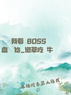 無敵從我看見BOSS血條開始