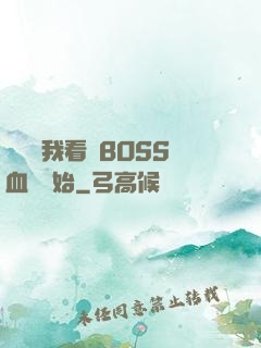 無敵從我看見BOSS血條開始