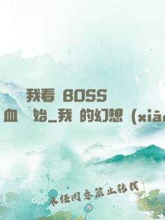 無敵從我看見BOSS血條開始