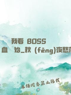 無敵從我看見BOSS血條開始