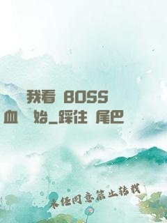 無敵從我看見BOSS血條開始