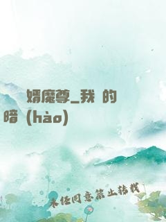 無敵贅婿魔尊