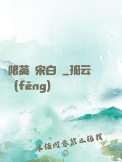 無限英靈宋白傳