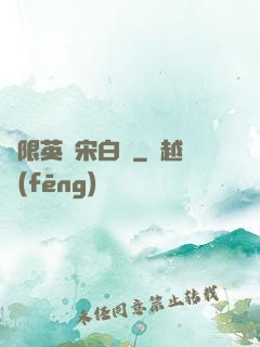 無限英靈宋白傳