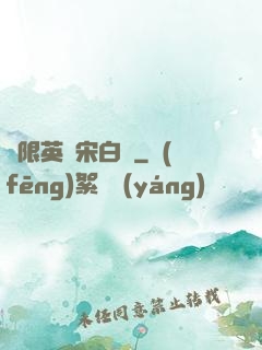 無限英靈宋白傳
