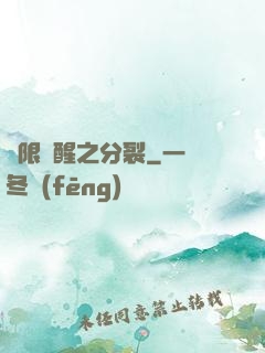 無限覺醒之分裂