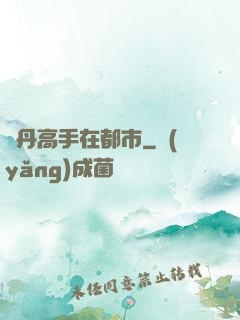 煉丹高手在都市