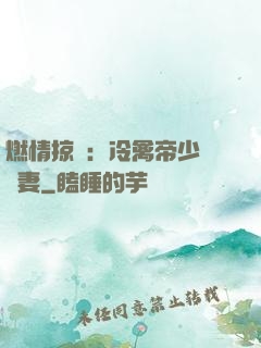 燃情掠愛：冷禽帝少獨寵妻
