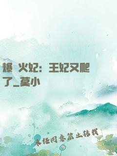 爆寵火妃：王妃又爬墻了