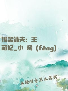 爆笑休夫：王爺誘寵嬌萌妃
