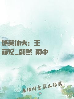 爆笑休夫：王爺誘寵嬌萌妃