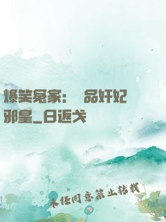 爆笑冤家：極品奸妃戲邪皇