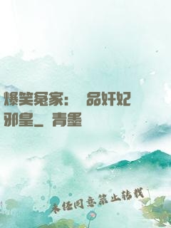 爆笑冤家：極品奸妃戲邪皇