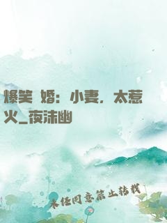 爆笑寵婚：小妻，太惹火