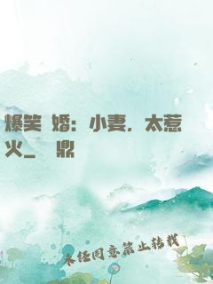爆笑寵婚：小妻，太惹火