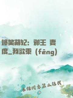爆笑萌妃：邪王寵妻無度