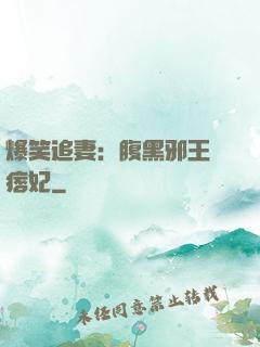 爆笑追妻：腹黑邪王戲痞妃