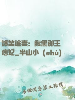 爆笑追妻：腹黑邪王戲痞妃