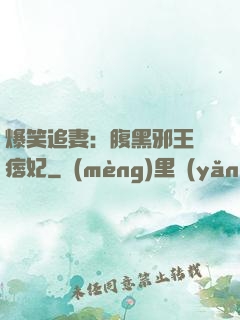 爆笑追妻：腹黑邪王戲痞妃