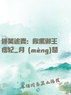 爆笑追妻：腹黑邪王戲痞妃