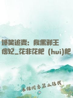爆笑追妻：腹黑邪王戲痞妃