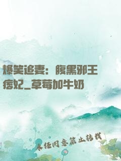 爆笑追妻：腹黑邪王戲痞妃