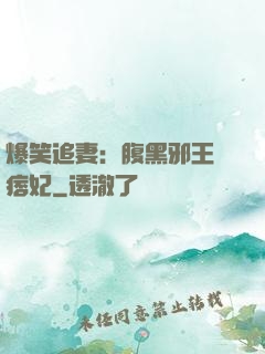 爆笑追妻：腹黑邪王戲痞妃